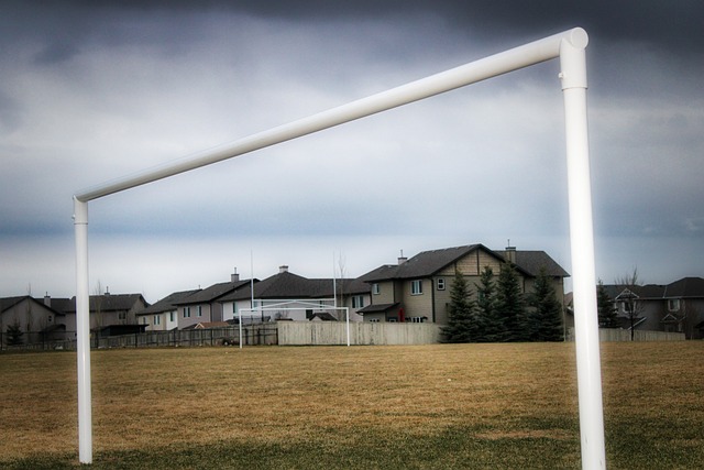 海中闪现的 海中闪现的