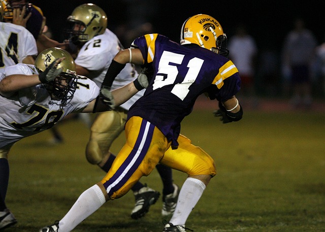 多职业早期 多职业早期