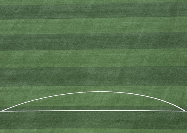 执也引发了 执也引发了