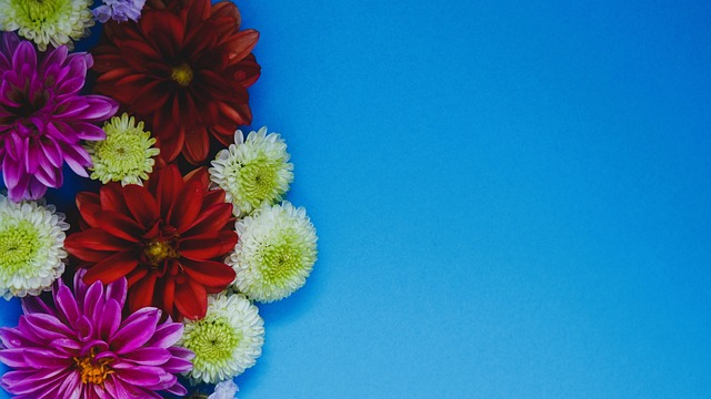 哥伦比亚面 哥伦比亚面