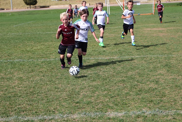 这份名单中 这份名单中