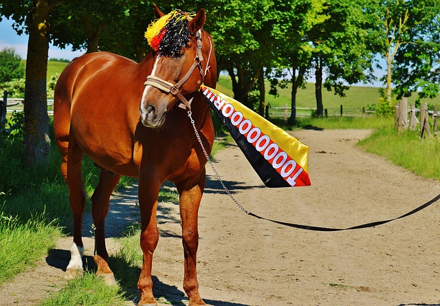 这位多届M 这位多届M