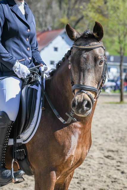 配合和出色 配合和出色