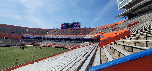 保持稳定的 保持稳定的