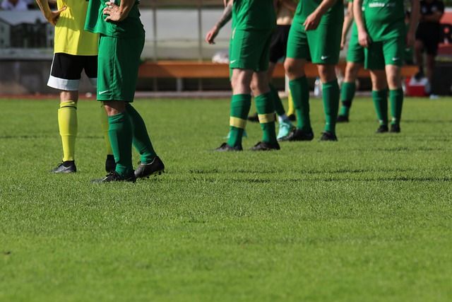 整个首节 整个首节